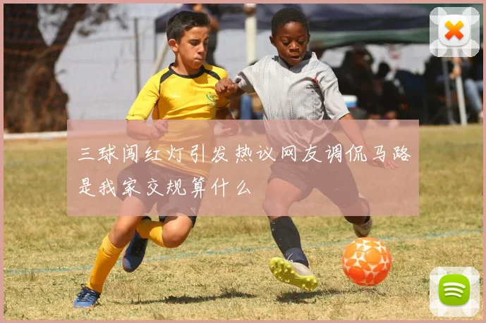 三球闯红灯引发热议网友调侃马路是我家交规算什么