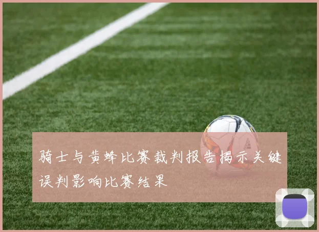 骑士与黄蜂比赛裁判报告揭示关键误判影响比赛结果