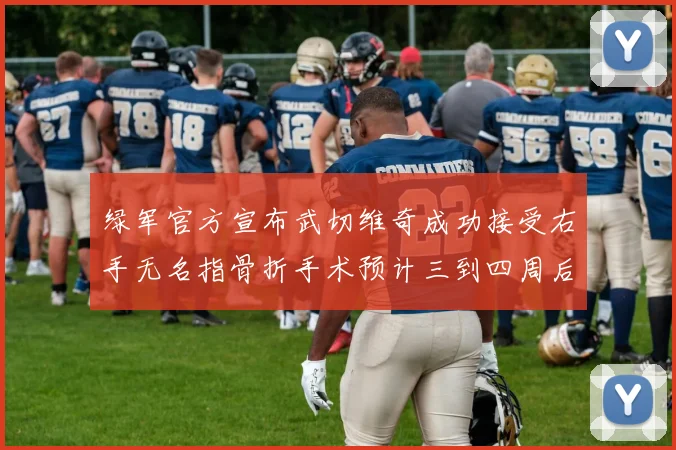 绿军官方宣布武切维奇成功接受右手无名指骨折手术预计三到四周后复查